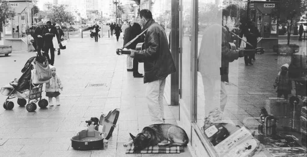 Perro Callejero El Faradio Periodismo Que Cuenta