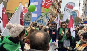 Manifestación educación